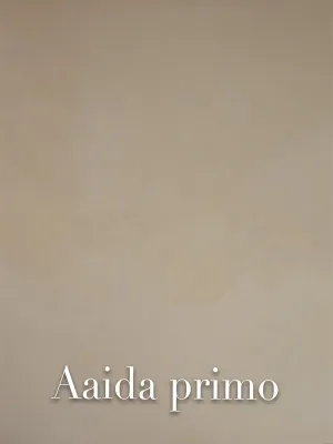 Aaida Primo