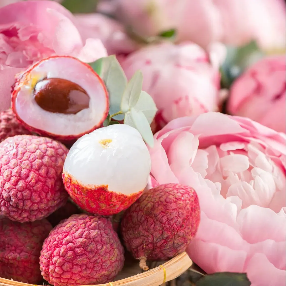 Coconut Soy Wax Melt - Lychee Peony