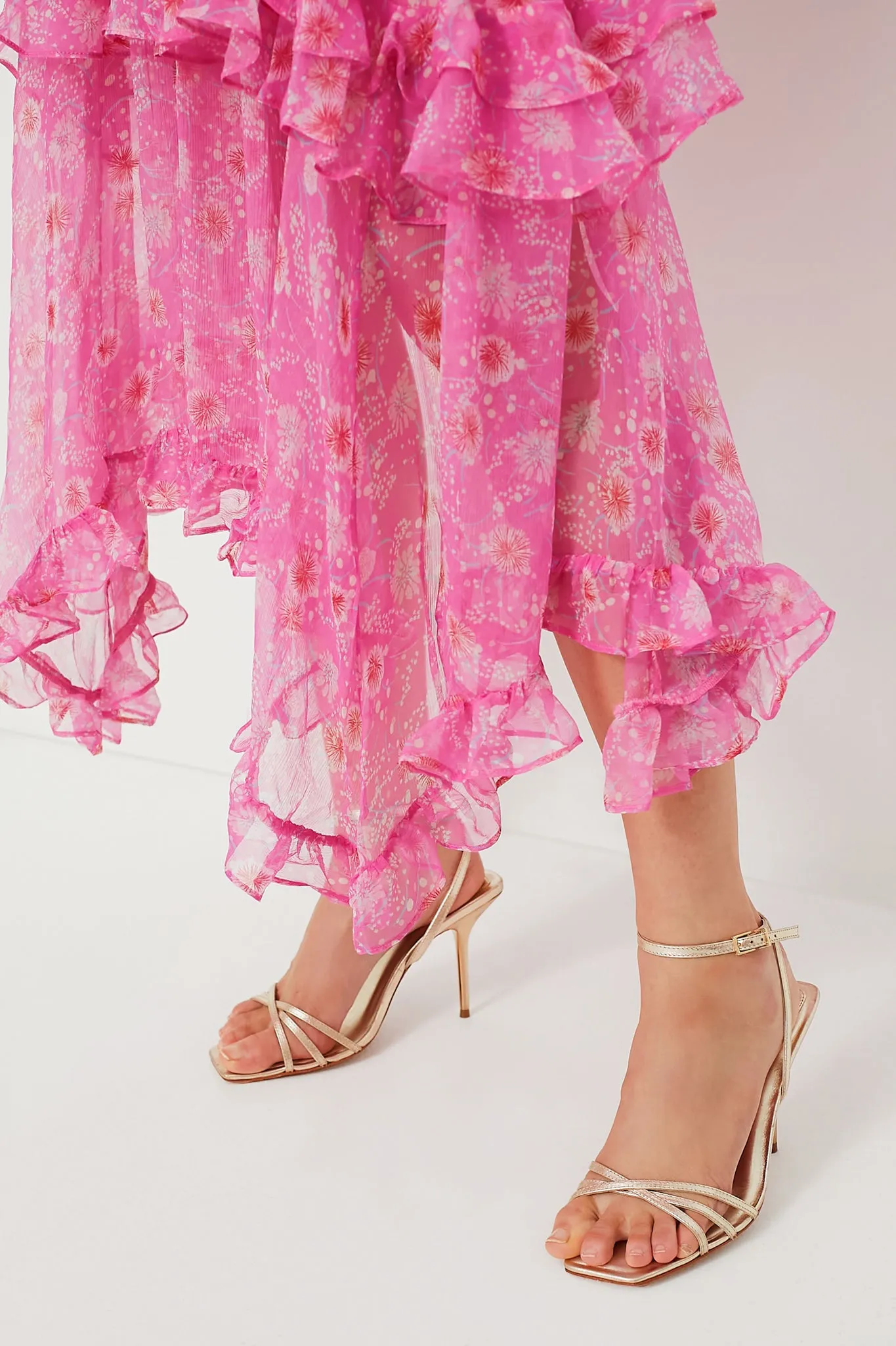 Dandelion Garden Jolie C Dress