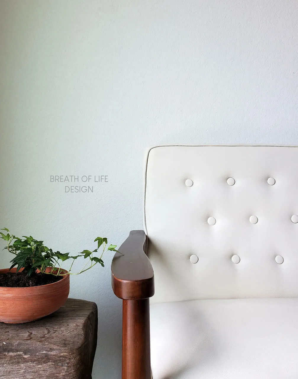 Dixie Belle Drop Cloth Chalk Paint