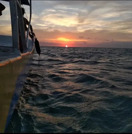 Explore the Magic of Holbox: Isla de la Pasión, Yalahau & Authentic Local Flavors