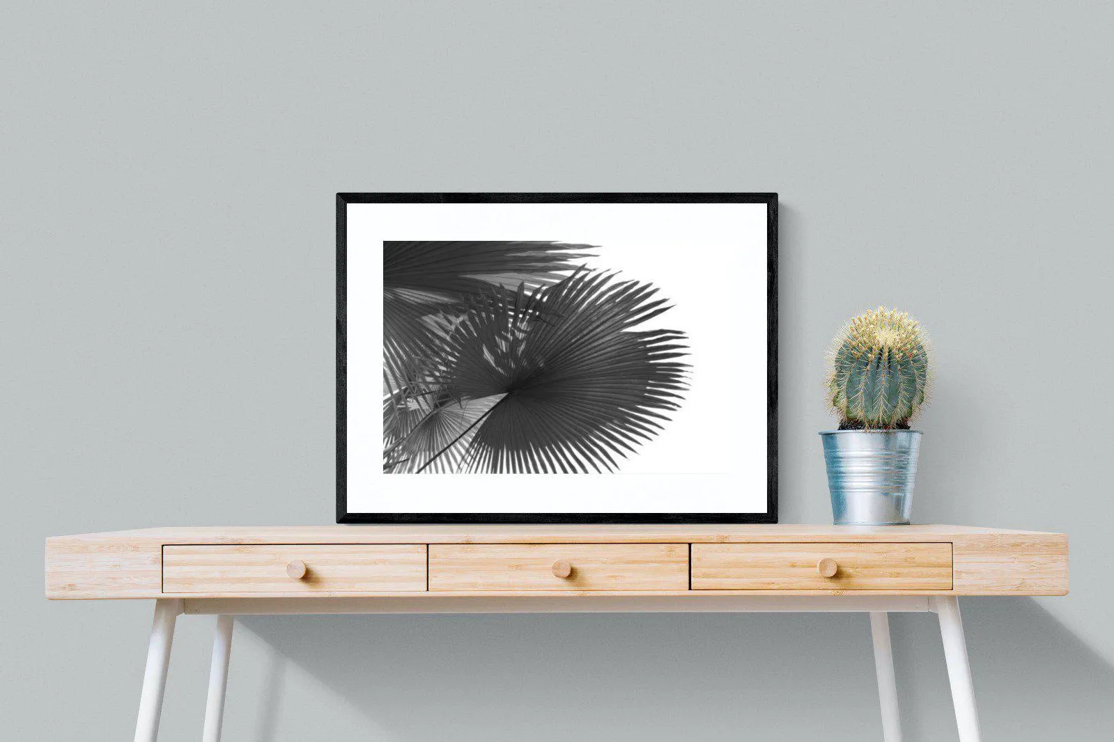 Frond