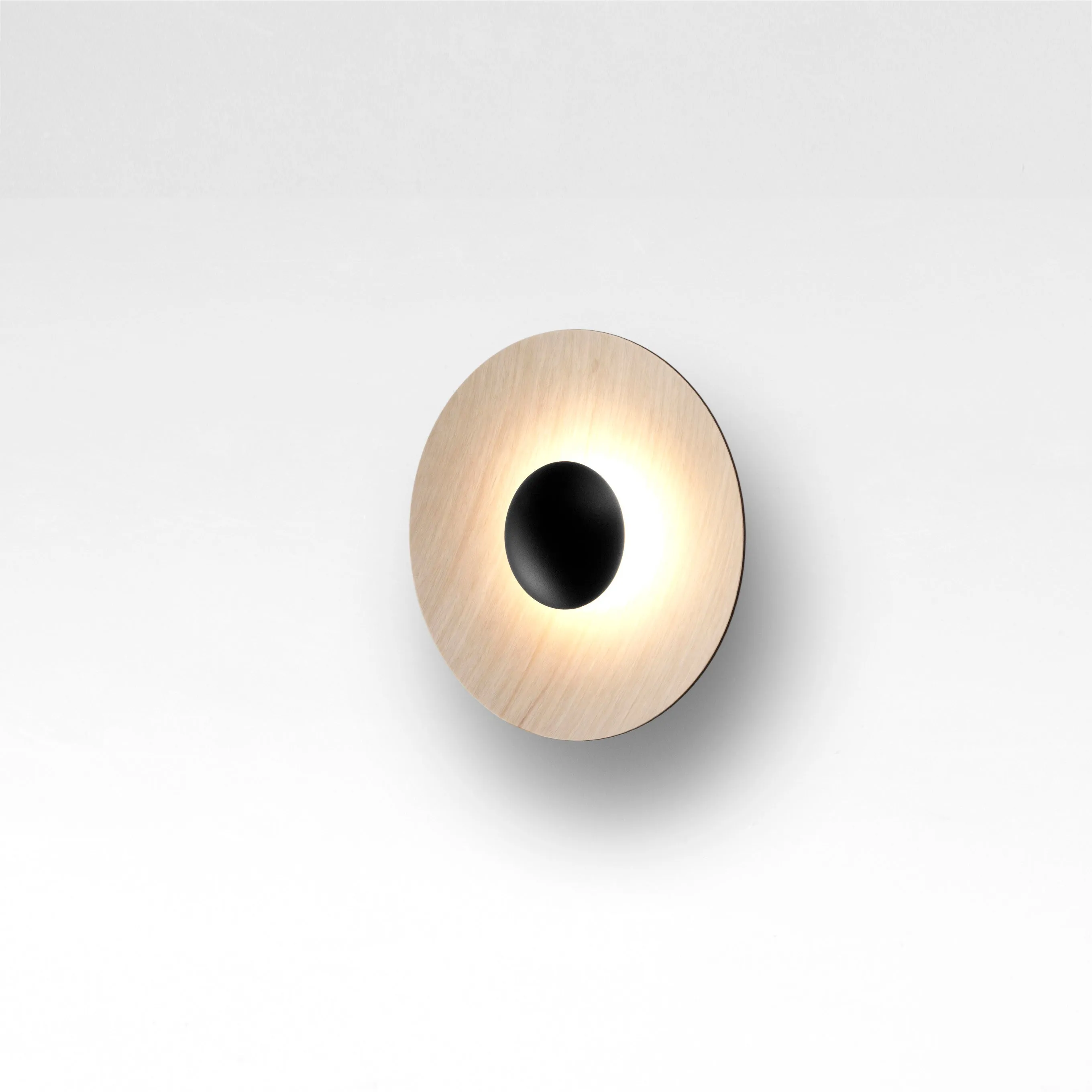 Ginger LED Flush Mount Wall Light