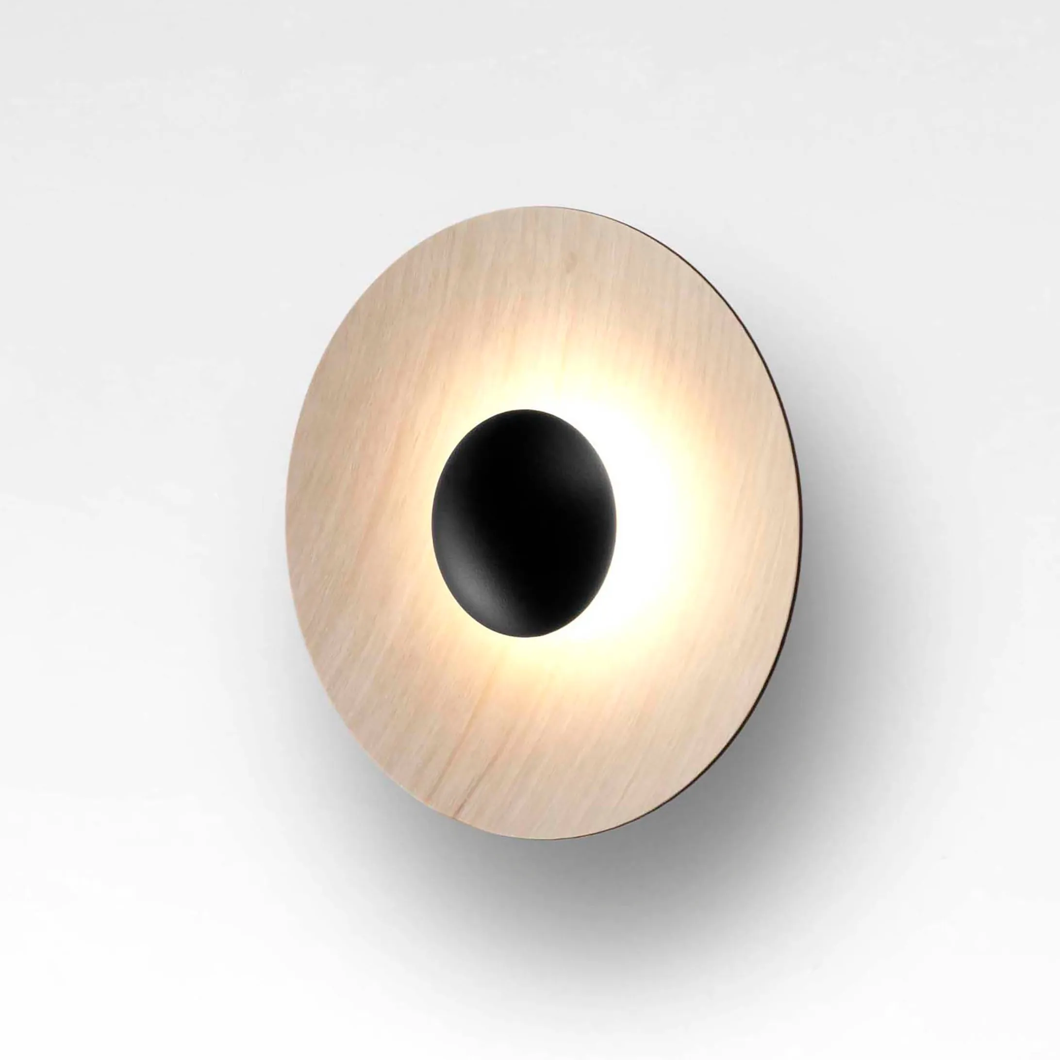 Ginger LED Flush Mount Wall Light