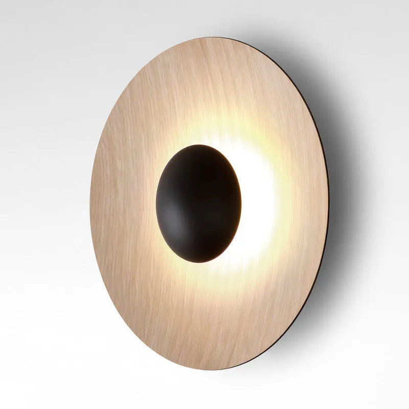 Ginger LED Flush Mount Wall Light