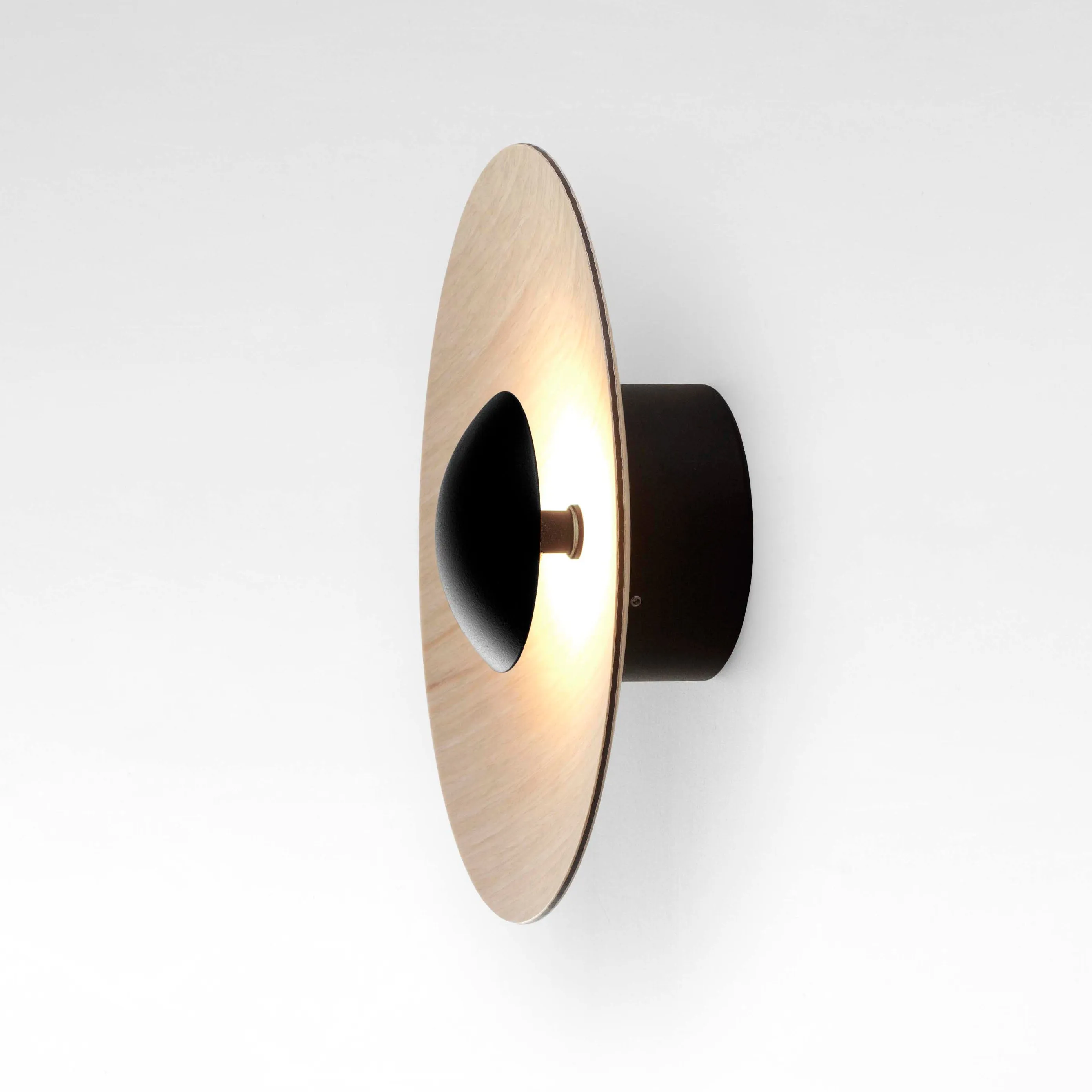 Ginger LED Flush Mount Wall Light