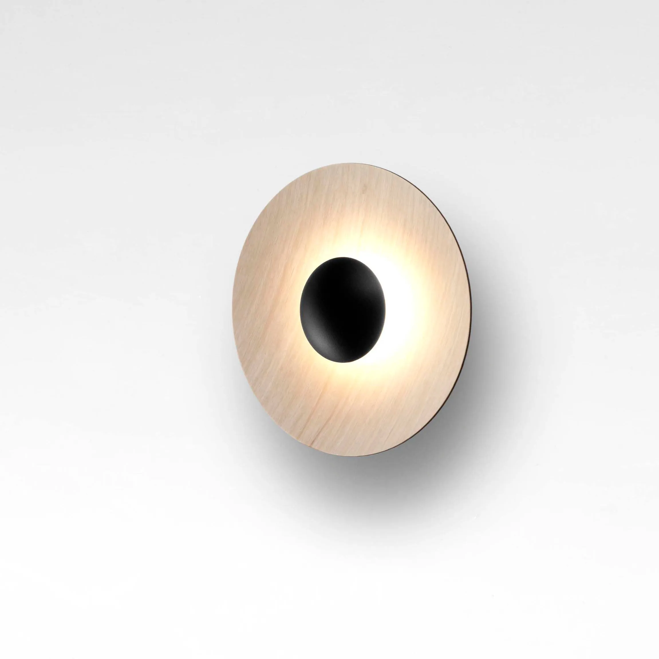 Ginger LED Flush Mount Wall Light
