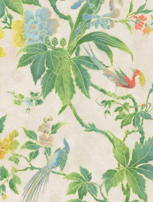Little Greene Wallpaper Paradise Feather