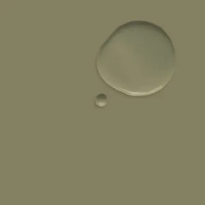Olive 2.5L Wall Paint