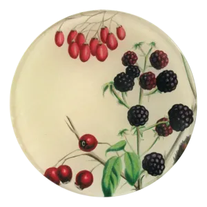Sweet Berries