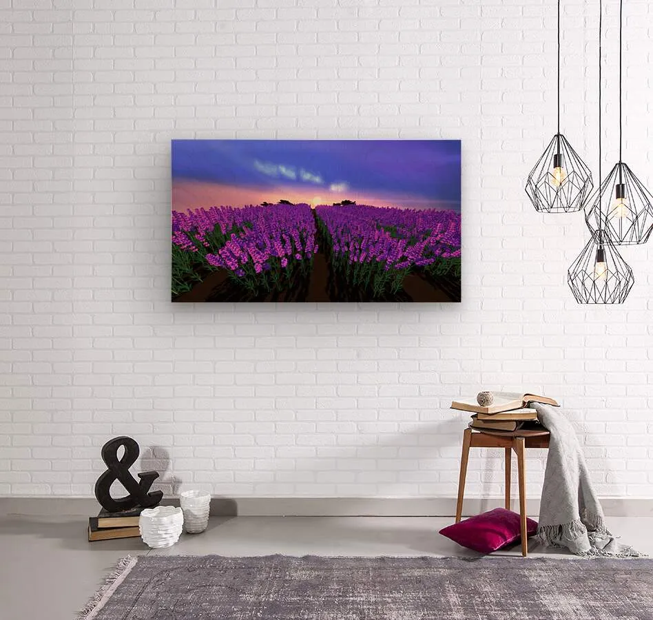 The Lavender Fields