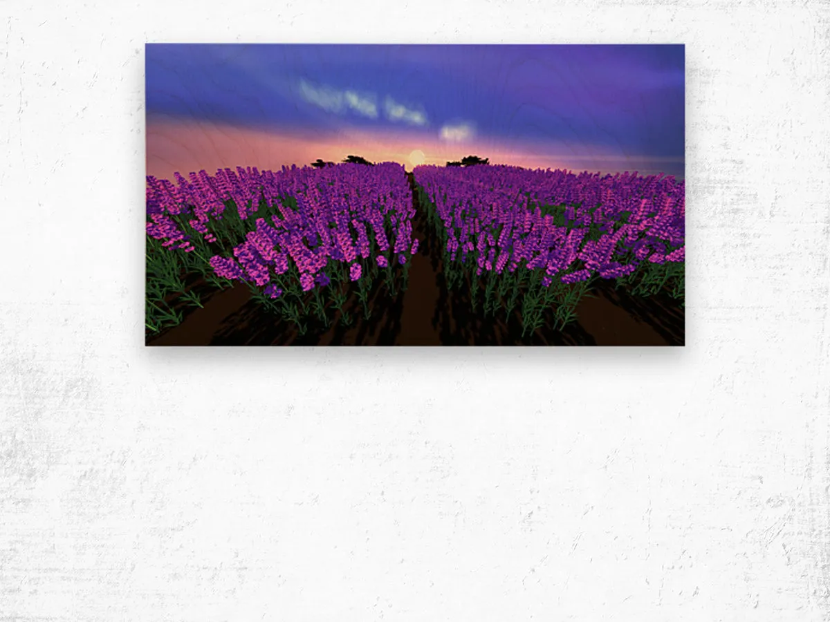 The Lavender Fields