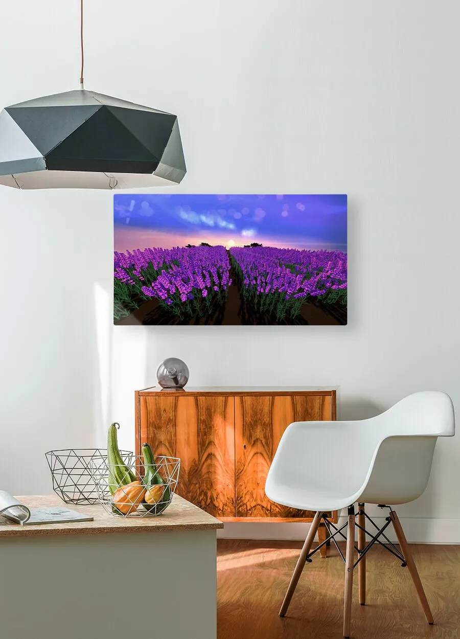 The Lavender Fields