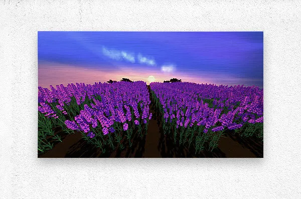 The Lavender Fields