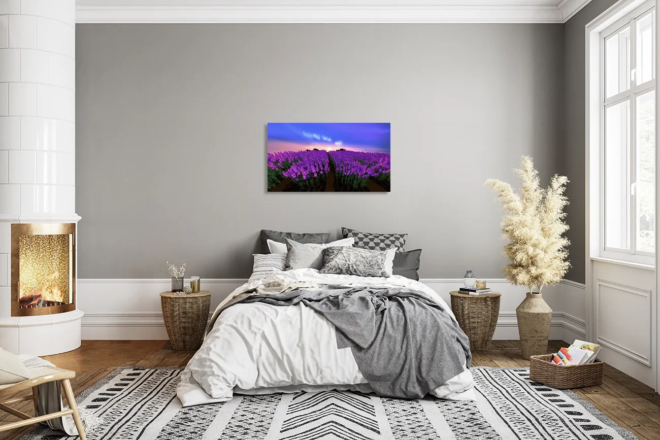 The Lavender Fields