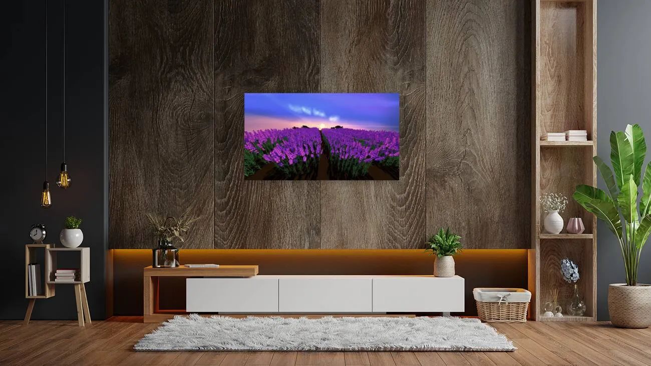 The Lavender Fields