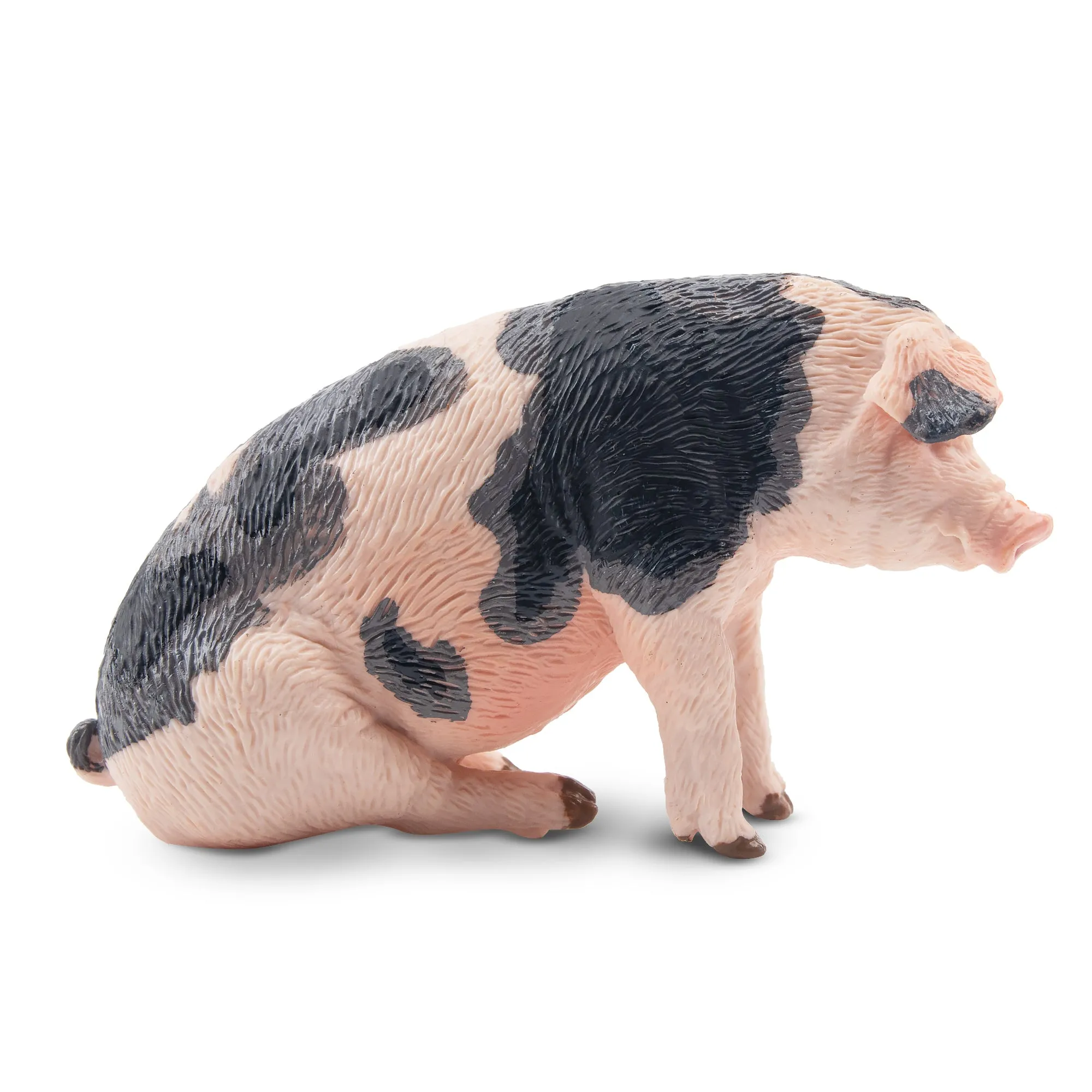 Toymany Daddy Pietrain Pig Figurine Toy