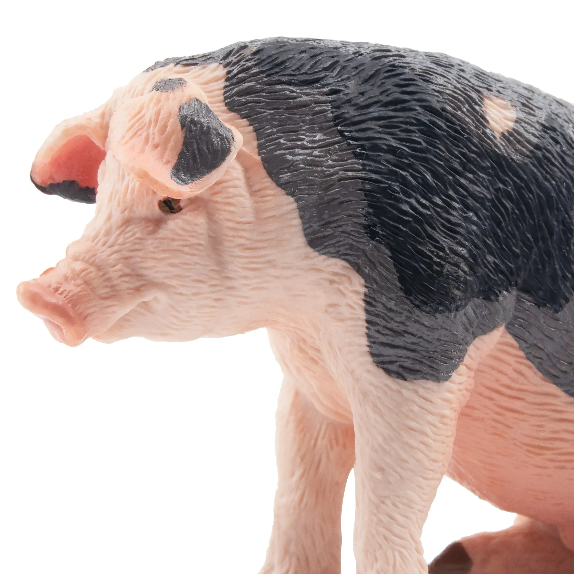 Toymany Daddy Pietrain Pig Figurine Toy