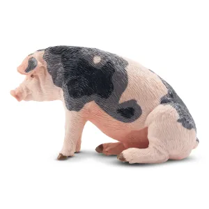 Toymany Daddy Pietrain Pig Figurine Toy