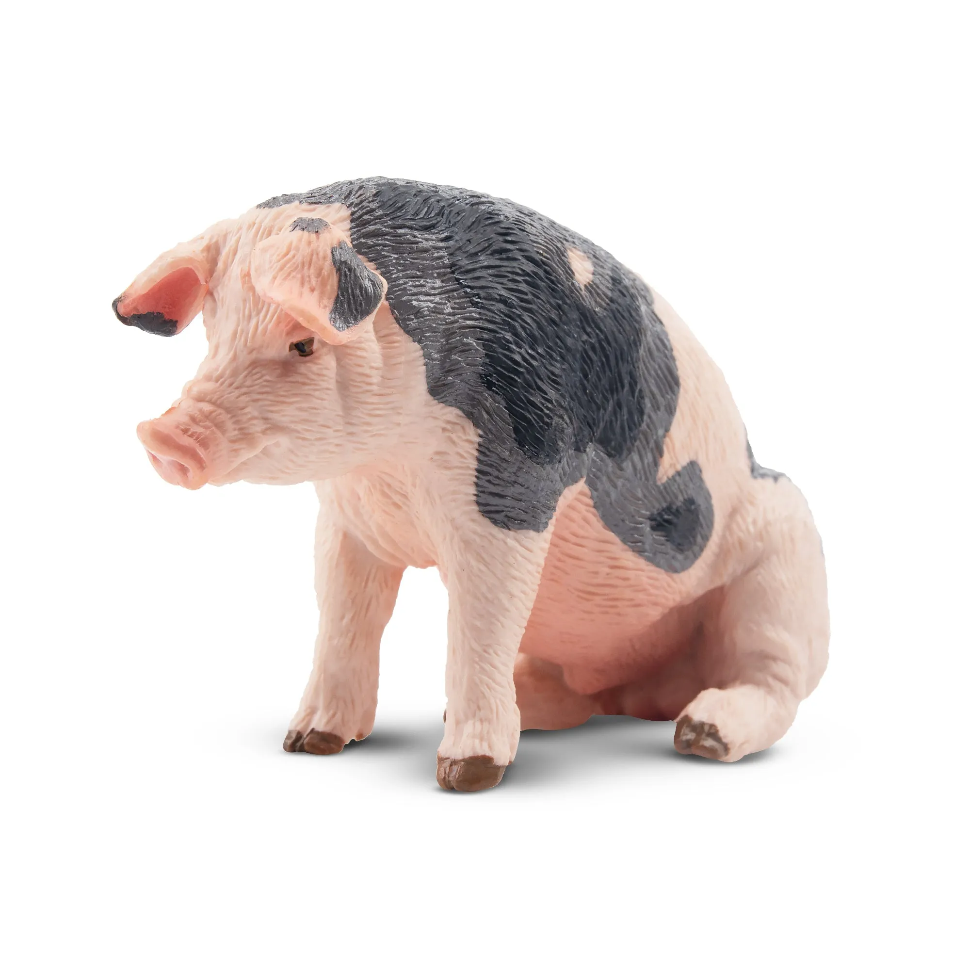 Toymany Daddy Pietrain Pig Figurine Toy
