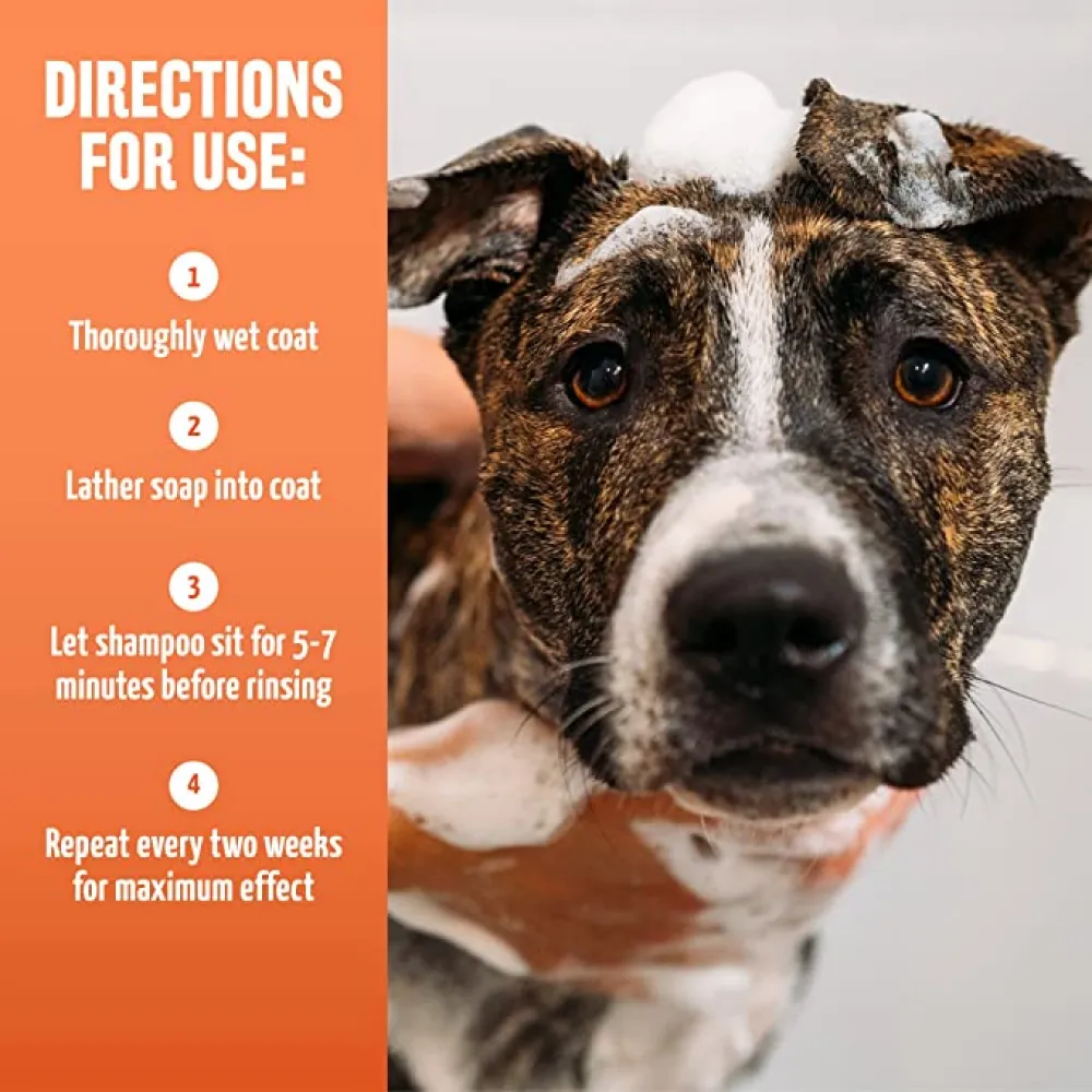Tropiclean Maximum Strength Natural Flea & Tick Shampoo for Dogs