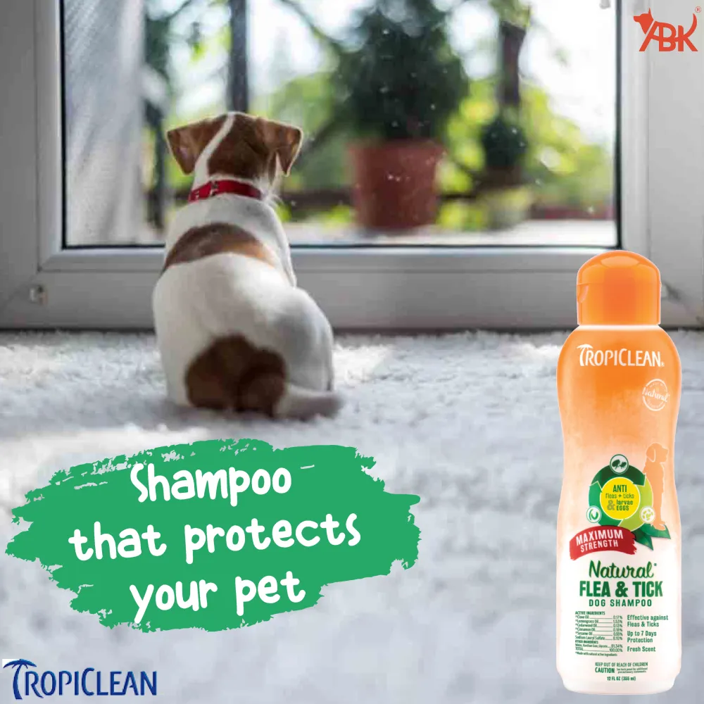 Tropiclean Maximum Strength Natural Flea & Tick Shampoo for Dogs