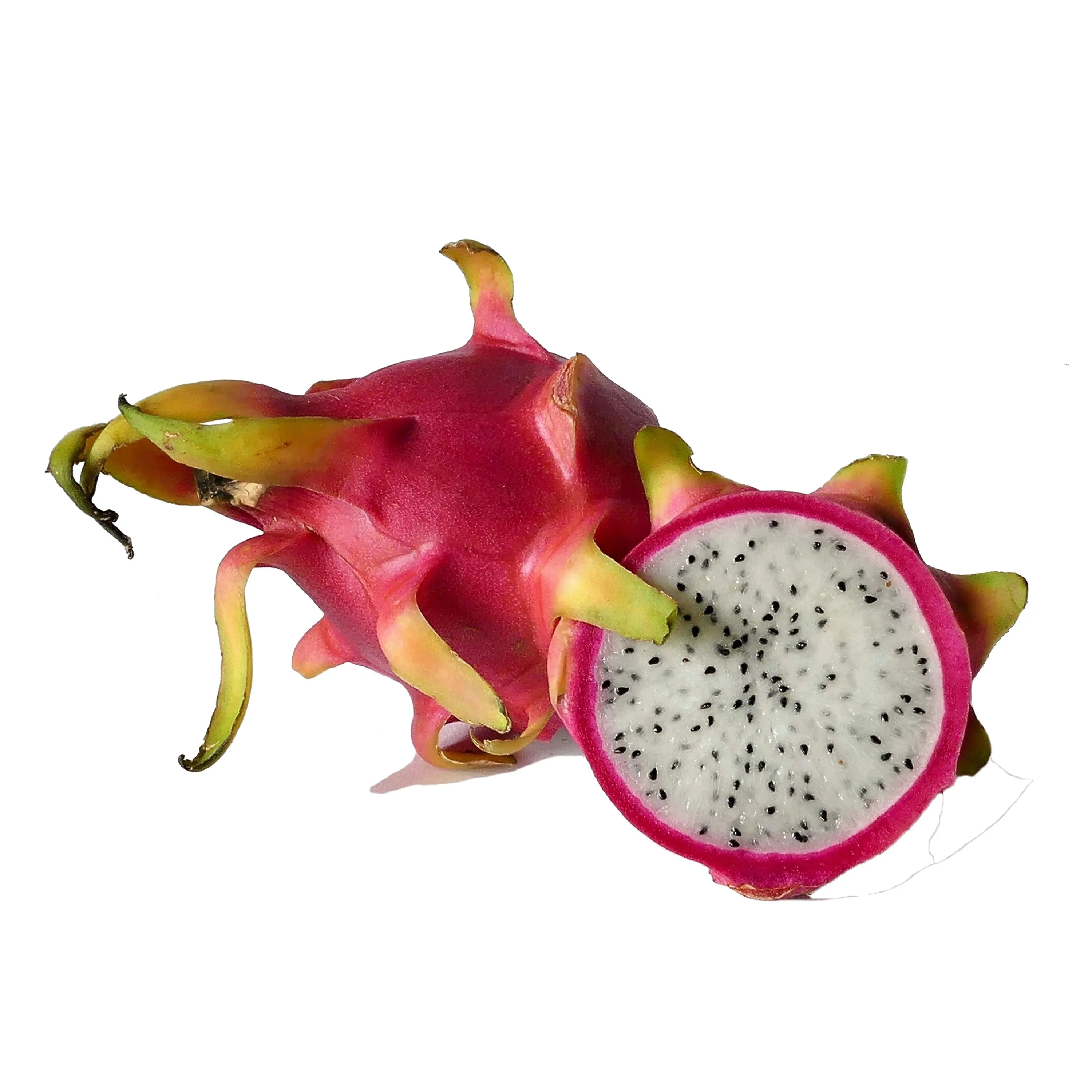 WHITE DRAGON FRUIT